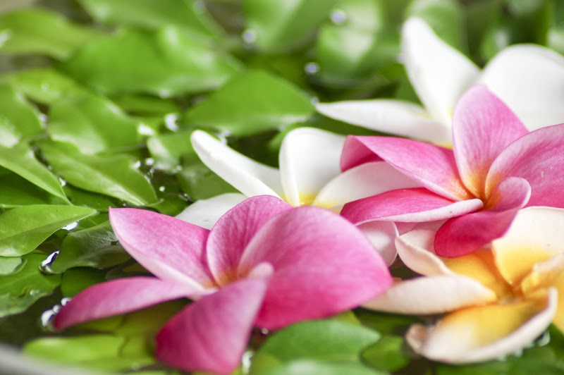 Smile Spa | Asian Massage Parlor, massage spa in Hazleton, PA, photo 6 of 6